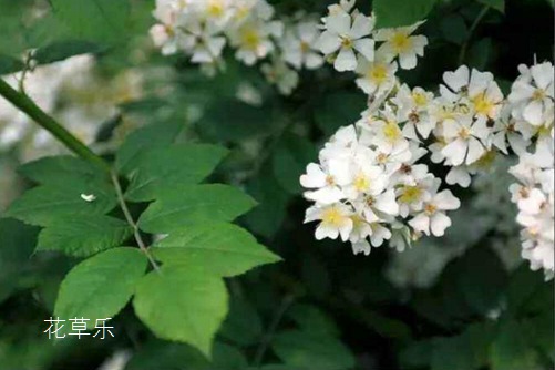 避孕药对身体亚洲精品无码久久毛片波多野吉，全面解读其影响与科学使用指南